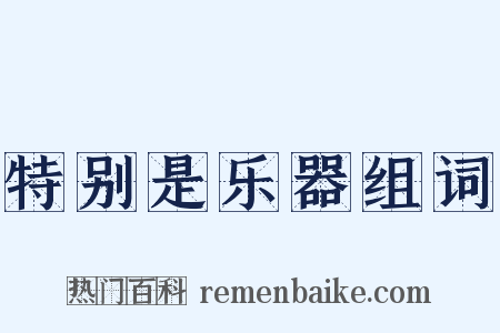 特别是乐器组词是什么意思的图片